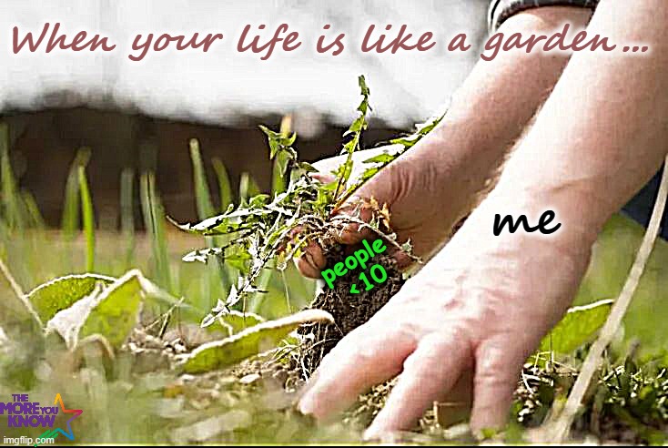 The Perfect Garden. | When your life is like a garden... me; people
<10 | image tagged in top 10,gardening,perfection,what people think i do,a helping hand | made w/ Imgflip meme maker