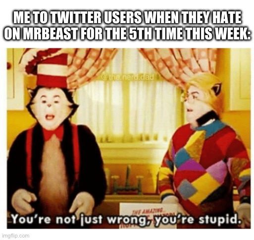 MrBeast haters | ME TO TWITTER USERS WHEN THEY HATE ON MRBEAST FOR THE 5TH TIME THIS WEEK: | image tagged in you're not just wrong your stupid,mrbeast,twitter,cat in the hat | made w/ Imgflip meme maker