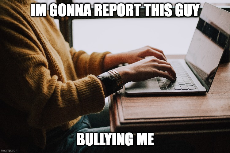IM GONNA REPORT THIS GUY; BULLYING ME | made w/ Imgflip meme maker