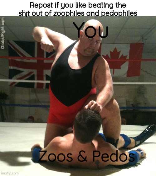 Beating Up | Repost if you like beating the sh¡t out of zoophiles and pedophiles; You; Zoos & Pedos | image tagged in beating up | made w/ Imgflip meme maker