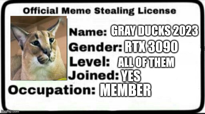 Meme Stealing License | GRAY DUCKS 2023; RTX 3090; ALL OF THEM; YES; MEMBER | image tagged in meme stealing license | made w/ Imgflip meme maker