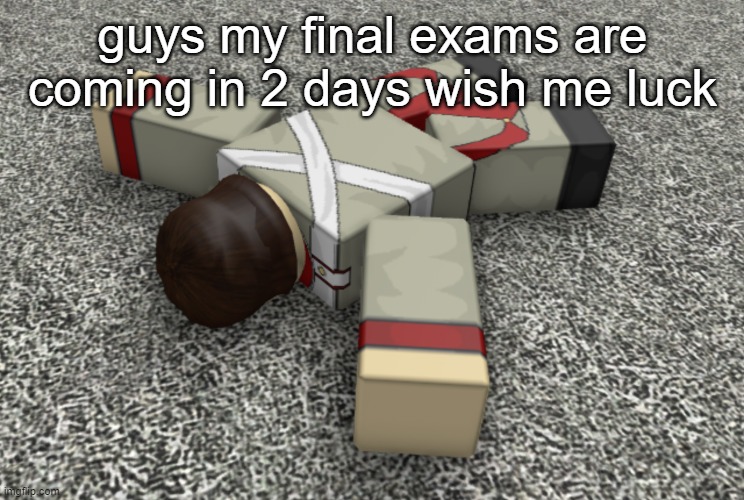 random ahh annoucement temp | guys my final exams are coming in 2 days wish me luck | image tagged in random ahh annoucement temp | made w/ Imgflip meme maker
