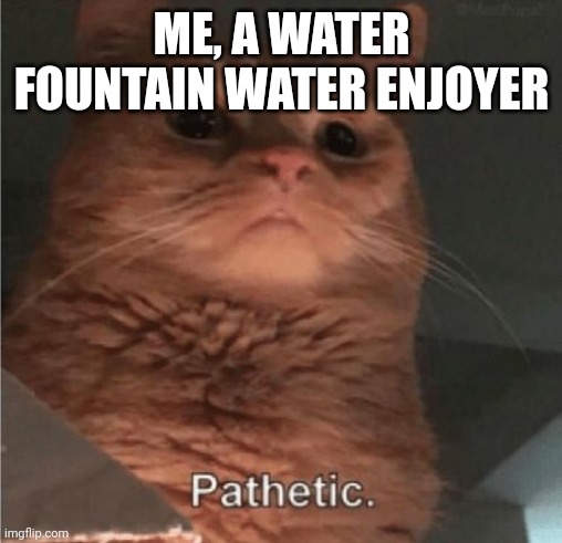 Pathetic Cat | ME, A WATER FOUNTAIN WATER ENJOYER | image tagged in pathetic cat | made w/ Imgflip meme maker