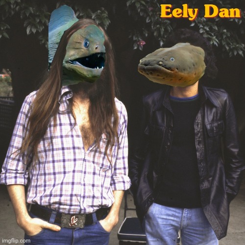 Eely Dan | image tagged in steely dan,eel,do it again | made w/ Imgflip meme maker