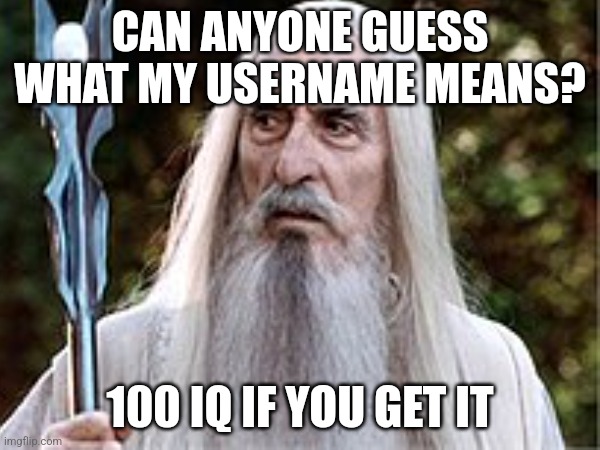 CAN ANYONE GUESS WHAT MY USERNAME MEANS? 100 IQ IF YOU GET IT | made w/ Imgflip meme maker