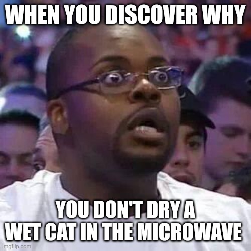 The New Face of the WWE after Wrestlemania 30 | WHEN YOU DISCOVER WHY; YOU DON'T DRY A WET CAT IN THE MICROWAVE | image tagged in the new face of the wwe after wrestlemania 30 | made w/ Imgflip meme maker