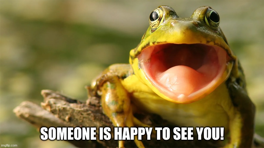 excited to see you meme