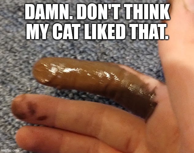 Oop sorry excuse the smell. | DAMN. DON'T THINK MY CAT LIKED THAT. | image tagged in poop,cats,cat,lol so funny,funny cats | made w/ Imgflip meme maker