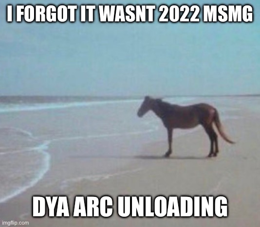 Man Horse Water | I FORGOT IT WASNT 2022 MSMG; DYA ARC UNLOADING | image tagged in man horse water | made w/ Imgflip meme maker