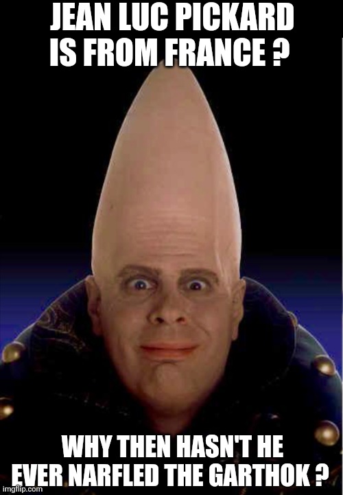 Coneheads | JEAN LUC PICKARD IS FROM FRANCE ? WHY THEN HASN'T HE EVER NARFLED THE GARTHOK ? | image tagged in coneheads | made w/ Imgflip meme maker