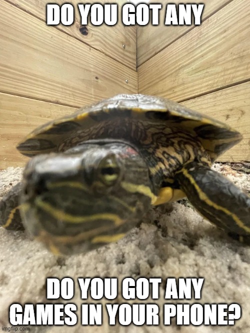 DO YOU GOT ANY; DO YOU GOT ANY GAMES IN YOUR PHONE? | made w/ Imgflip meme maker
