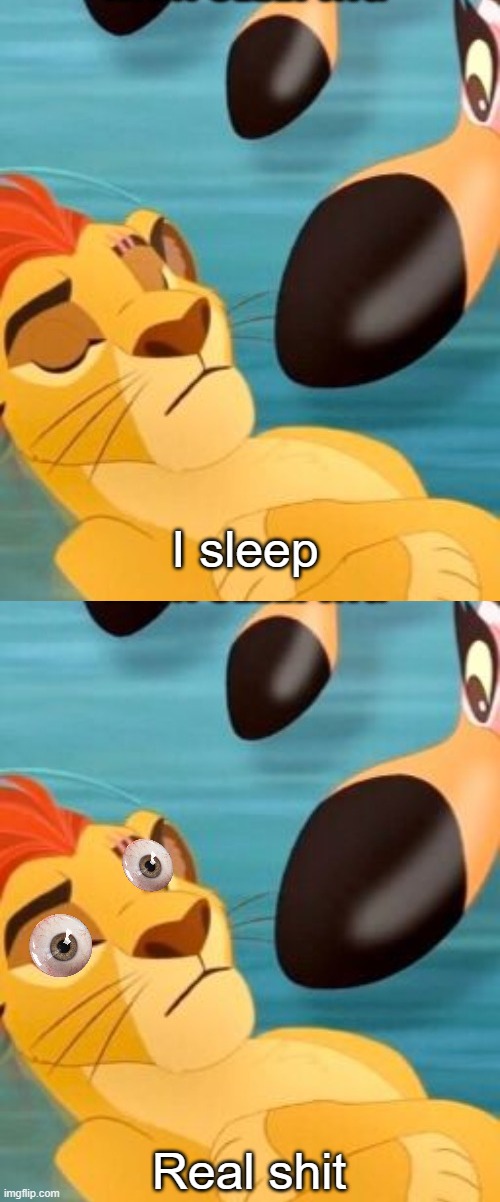 My new template, using it to make fun of Kion | I sleep; Real shit | image tagged in kion sleeping for no reason | made w/ Imgflip meme maker