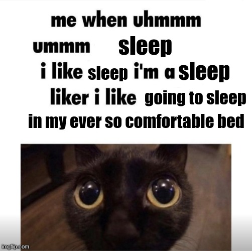 goodnight | sleep; sleep; sleep; going to sleep; in my ever so comfortable bed | image tagged in me when uhmm umm | made w/ Imgflip meme maker
