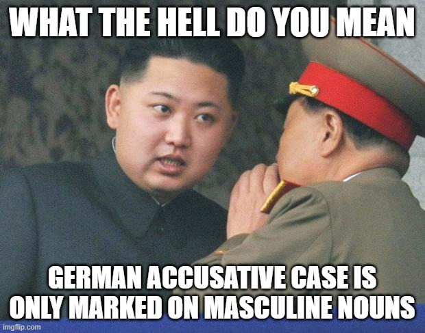 Hungry Kim Jong Un | WHAT THE HELL DO YOU MEAN; GERMAN ACCUSATIVE CASE IS ONLY MARKED ON MASCULINE NOUNS | image tagged in hungry kim jong un | made w/ Imgflip meme maker