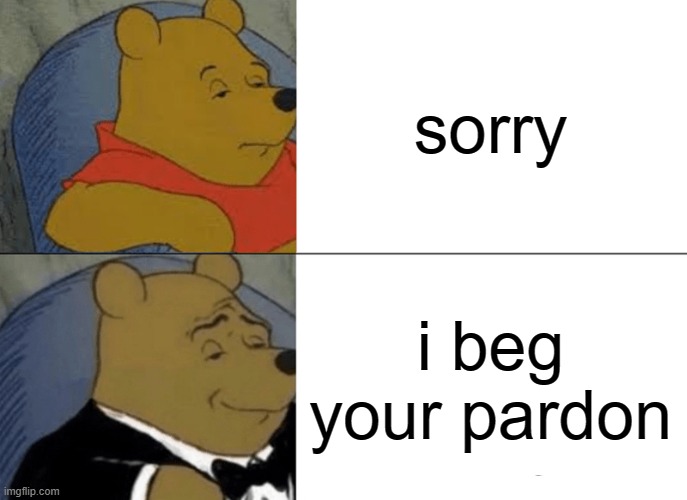 Tuxedo Winnie The Pooh | sorry; i beg your pardon | image tagged in memes,tuxedo winnie the pooh | made w/ Imgflip meme maker