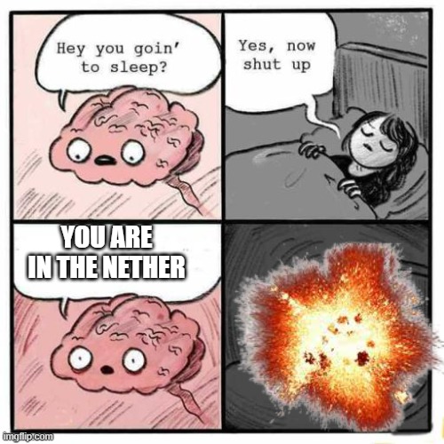 was killed by (intentional game design) | YOU ARE IN THE NETHER | image tagged in hey you going to sleep | made w/ Imgflip meme maker