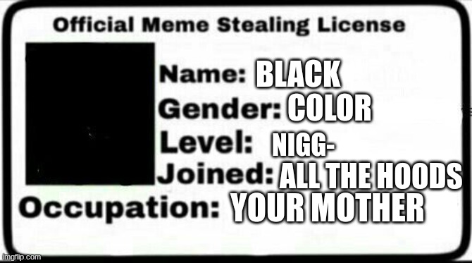 NIGG- | BLACK; COLOR; NIGG-; ALL THE HOODS; YOUR MOTHER | image tagged in meme stealing license,n word | made w/ Imgflip meme maker