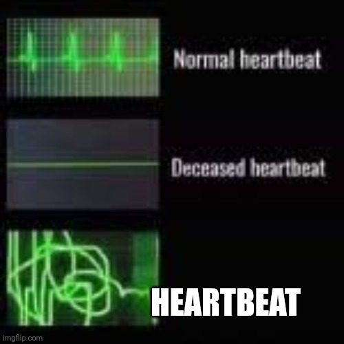 heart monitor | HEARTBEAT | image tagged in heart monitor | made w/ Imgflip meme maker