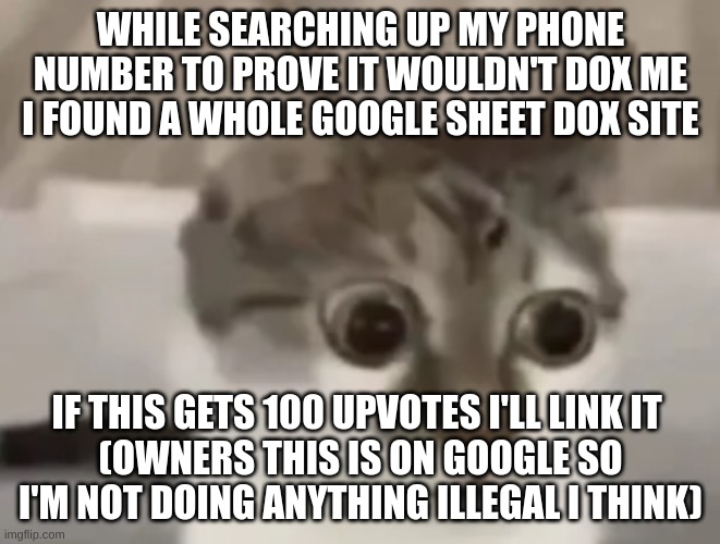 i'm calling it
THE ULTIDOX | WHILE SEARCHING UP MY PHONE NUMBER TO PROVE IT WOULDN'T DOX ME I FOUND A WHOLE GOOGLE SHEET DOX SITE; IF THIS GETS 100 UPVOTES I'LL LINK IT 
(OWNERS THIS IS ON GOOGLE SO I'M NOT DOING ANYTHING ILLEGAL I THINK) | image tagged in in shock cat 2 | made w/ Imgflip meme maker