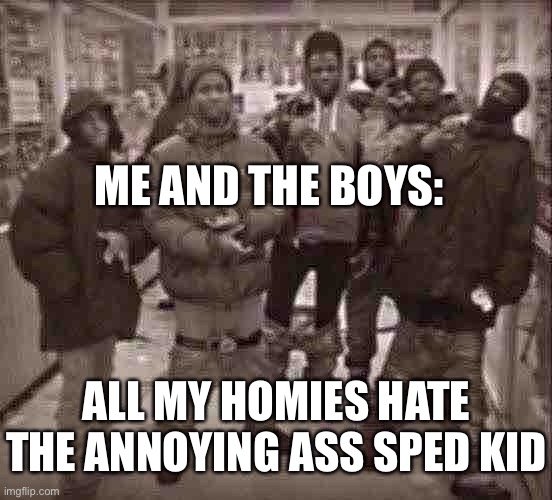 If this meme is dog shut it’s because it’s 11:45pm rn | ME AND THE BOYS:; ALL MY HOMIES HATE THE ANNOYING ASS SPED KID | image tagged in all my homies hate,black people,that tag was a joke | made w/ Imgflip meme maker