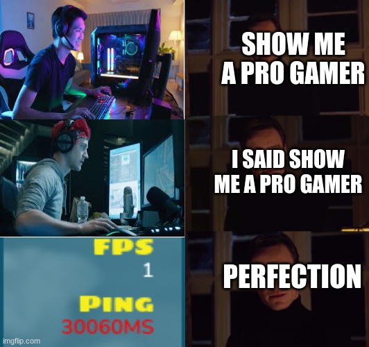Perfect ? | SHOW ME A PRO GAMER; I SAID SHOW ME A PRO GAMER; PERFECTION | image tagged in perfection | made w/ Imgflip meme maker