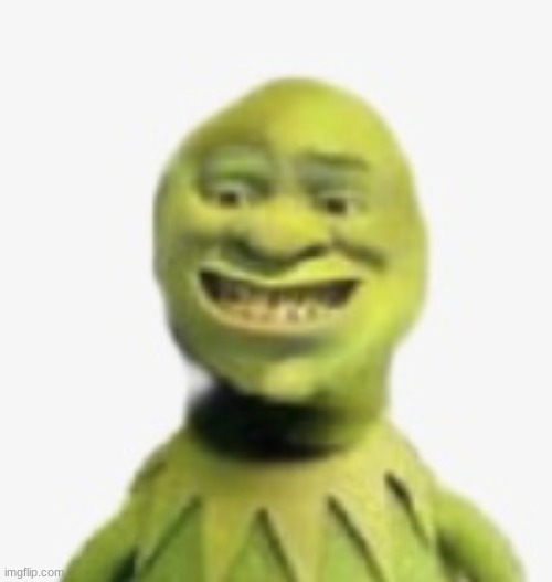 Shrek and kermit | image tagged in shrek and kermit | made w/ Imgflip meme maker