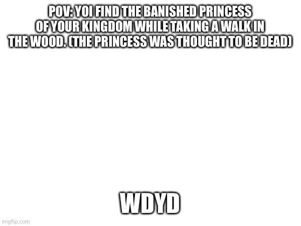 POV: YOI FIND THE BANISHED PRINCESS OF YOUR KINGDOM WHILE TAKING A WALK IN THE WOOD. (THE PRINCESS WAS THOUGHT TO BE DEAD); WDYD | made w/ Imgflip meme maker