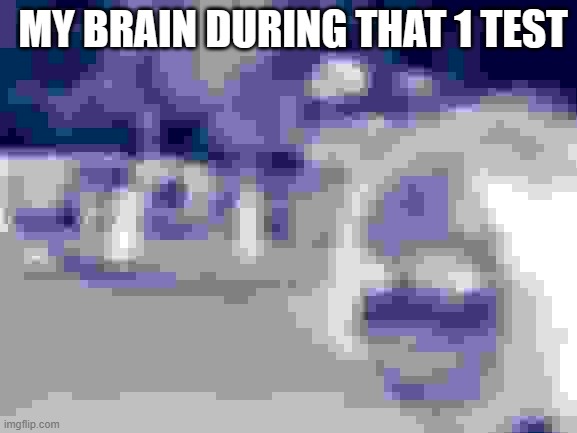 Disaster Girl Meme | MY BRAIN DURING THAT 1 TEST | image tagged in memes,disaster girl | made w/ Imgflip meme maker