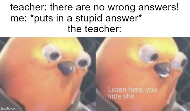 Listen here you little shit bird | teacher: there are no wrong answers!
me: *puts in a stupid answer*             
the teacher: | image tagged in funny,memes,fun,listen here you little shit bird,listen here you little shit,school | made w/ Imgflip meme maker