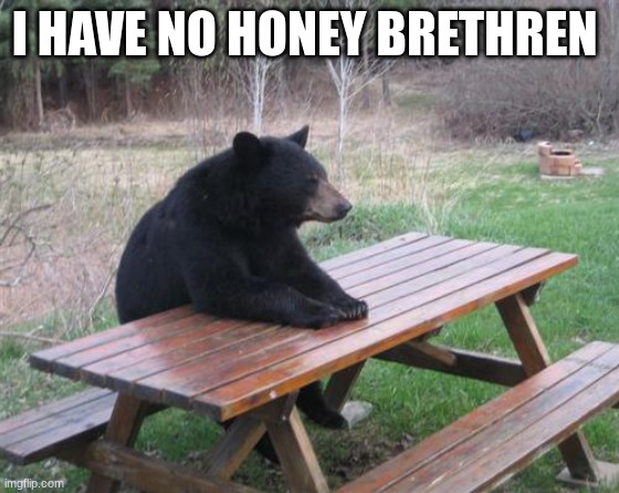 Bad Luck Bear Meme | I HAVE NO HONEY BRETHREN | image tagged in memes,bad luck bear | made w/ Imgflip meme maker