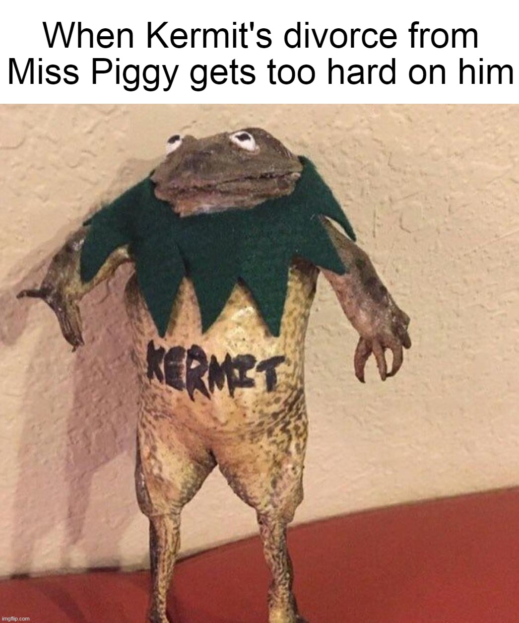 When Kermit's divorce from Miss Piggy gets too hard on him | image tagged in meme,memes,funny,dank memes | made w/ Imgflip meme maker