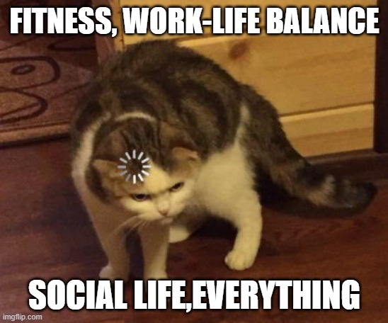Confused cat | FITNESS, WORK-LIFE BALANCE; SOCIAL LIFE,EVERYTHING | image tagged in confused cat | made w/ Imgflip meme maker