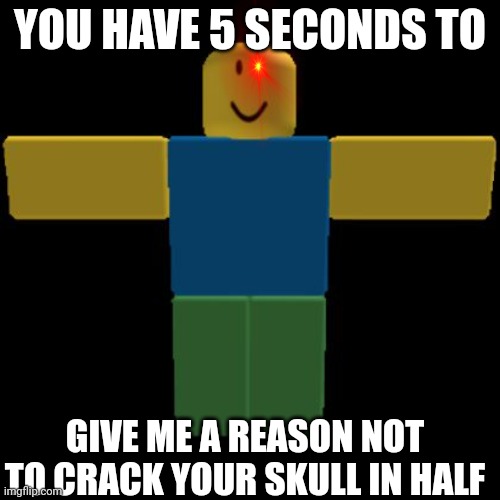 Roblox Noob T-posing | YOU HAVE 5 SECONDS TO GIVE ME A REASON NOT TO CRACK YOUR SKULL IN HALF | image tagged in roblox noob t-posing | made w/ Imgflip meme maker