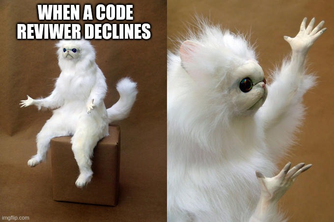 Declined code review | WHEN A CODE REVIWER DECLINES | image tagged in memes,persian cat room guardian | made w/ Imgflip meme maker