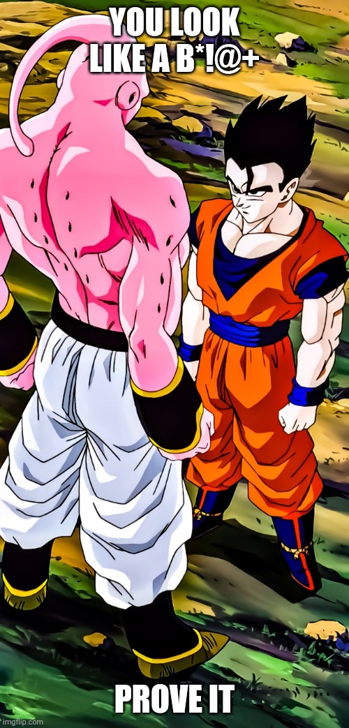 Gohan vs Majin Buu | YOU LOOK LIKE A B*!@+; PROVE IT | image tagged in gohan vs majin buu | made w/ Imgflip meme maker