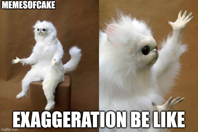 Persion Cat | MEMESOFCAKE; EXAGGERATION BE LIKE | image tagged in memes,persian cat room guardian | made w/ Imgflip meme maker