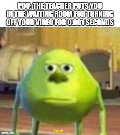bruh | POV: THE TEACHER PUTS YOU IN THE WAITING ROOM FOR TURNING OFF YOUR VIDEO FOR 0.001 SECONDS; bruh | image tagged in mike monster inc bruh meme | made w/ Imgflip meme maker
