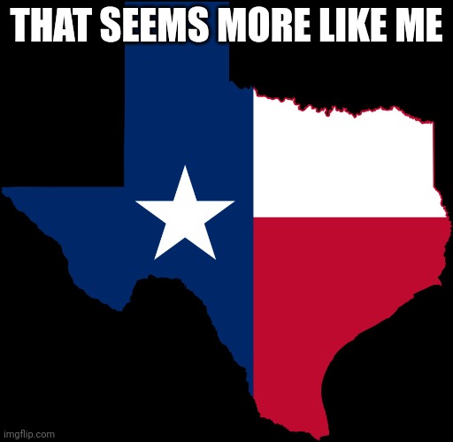 texas map | THAT SEEMS MORE LIKE ME | image tagged in texas map | made w/ Imgflip meme maker