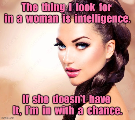 Beauty with intelligence | The  thing  I  look  for  in  a  woman  is  intelligence. If  she  doesn’t  have  It,  I’m  in  with  a  chance. | image tagged in beautiful woman,look for intelligence,if she does not have it,i have a chance,dating | made w/ Imgflip meme maker