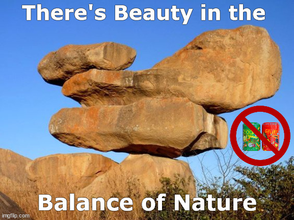 There's Beauty in the Balance of Nature | image tagged in balance of nature,dietary supplement,nature,rocks,balance,memes | made w/ Imgflip meme maker
