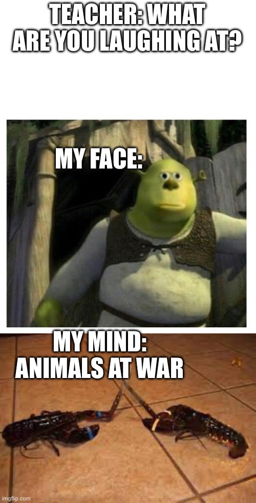 TEACHER: WHAT ARE YOU LAUGHING AT? MY FACE:; MY MIND: ANIMALS AT WAR | image tagged in shrek wazowski | made w/ Imgflip meme maker