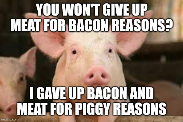 pig | YOU WON'T GIVE UP MEAT FOR BACON REASONS? I GAVE UP BACON AND MEAT FOR PIGGY REASONS | image tagged in pig,memes,vegetarian,vegan | made w/ Imgflip meme maker