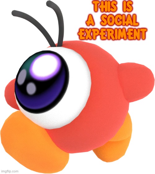 failboat | THIS IS A SOCIAL EXPERIMENT | image tagged in waddle doo | made w/ Imgflip meme maker