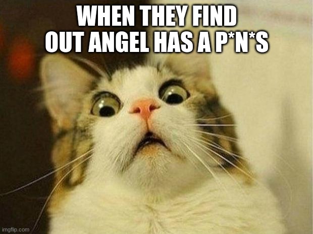 Scared Cat Meme | WHEN THEY FIND OUT ANGEL HAS A P*N*S | image tagged in memes,scared cat | made w/ Imgflip meme maker