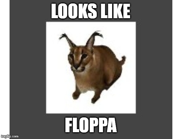 lol | LOOKS LIKE; FLOPPA | image tagged in floppa | made w/ Imgflip meme maker