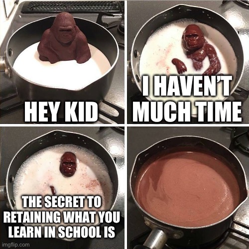 chocolate gorilla | HEY KID I HAVEN’T MUCH TIME THE SECRET TO RETAINING WHAT YOU LEARN IN SCHOOL IS | image tagged in chocolate gorilla | made w/ Imgflip meme maker