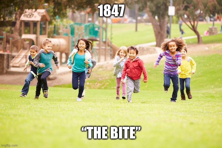 Children playing | 1847; “THE BITE” | image tagged in children playing | made w/ Imgflip meme maker