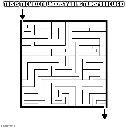 It just makes no sense | THIS IS THE MAZE TO UNDERSTANDING TRANSPHOBE LOGIC | image tagged in conservative logic,transphope logic | made w/ Imgflip meme maker