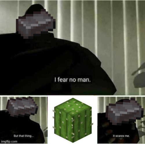 Netherite vs Cactus | image tagged in i fear no man,minecraft,minecraft memes | made w/ Imgflip meme maker