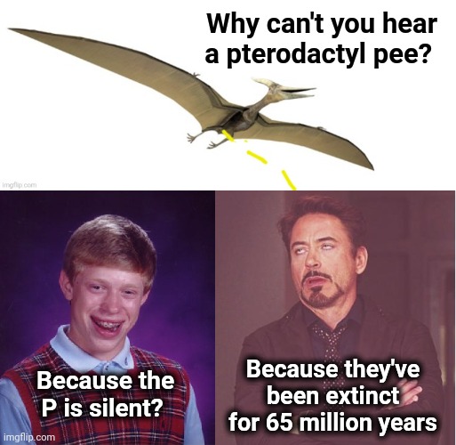 Pterodactyl pee | Why can't you hear a pterodactyl pee? Because they've been extinct for 65 million years; Because the P is silent? | image tagged in memes,bad luck brian,face you make robert downey jr | made w/ Imgflip meme maker